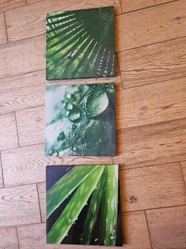 triptyque toile végétaux