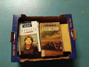 carton de livres