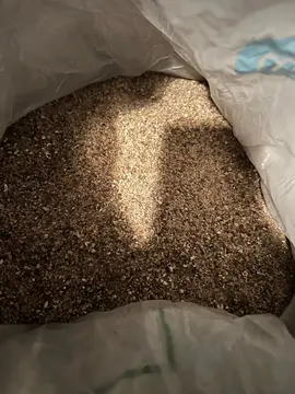 sable aquarium cyclidés