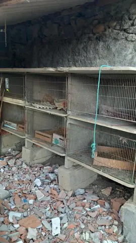 lapiniere et volière