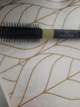 brossé Jean Louis David