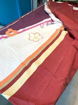 Housse de couette bordeaux 190x190