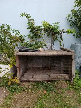 clapier lapins oo cochons d'inde