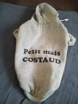pull pour petit chien