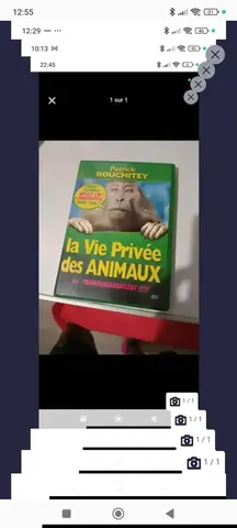 dvd
