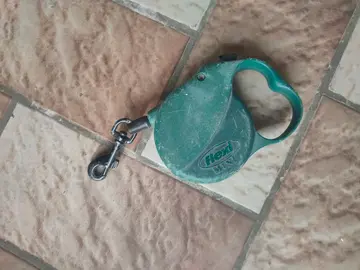 laisse pour Chat 🐱