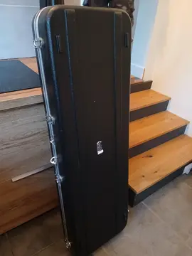 Etui de basse/guitare