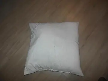 Demi-oreiller en plumes