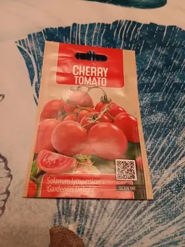 graine tomates cerise