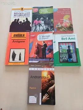 Livres classiques scolaires