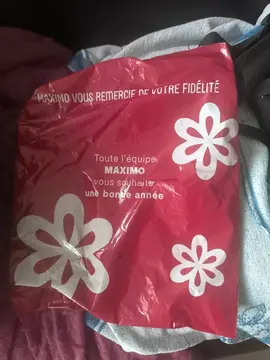 3 dessous de plat en feutrine