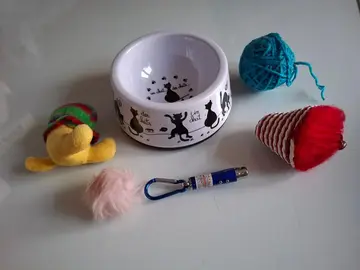 gamelle et jouets pour chat