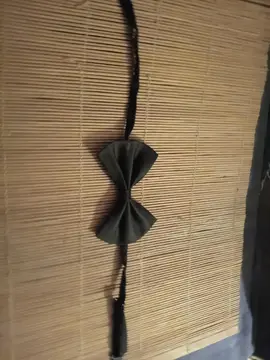 noeud papillon pour chien