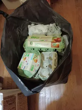 boîtes oeufs en carton