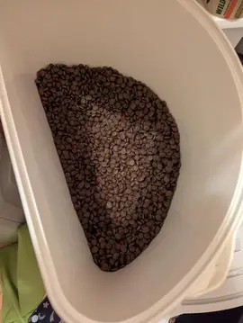 croquettes pour chat