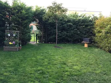 Cerisier ornemental ne fera jamais de cerises