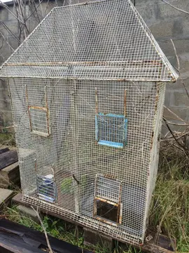 CAGE à OISEAU