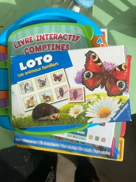 jeux intéressant et y’a un puzzle girafe neuf chinois et coloriage et livre bébé chanson