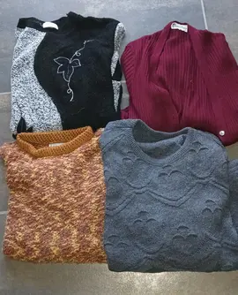 3 Pulls + 1 veste FemmeTaille M et L