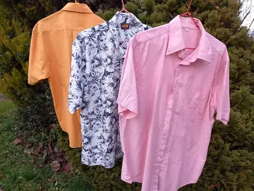 Lot de chemisettes manches courtes