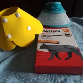 collerette et protection chat ou petit chien