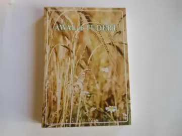 Nouveau Testament en amazigh (bible)