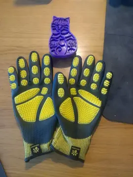 gants et brosse chat