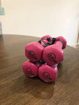 haltères 0,5 kg