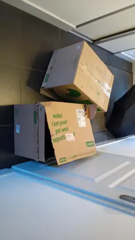 2 cartons déménagement rangement