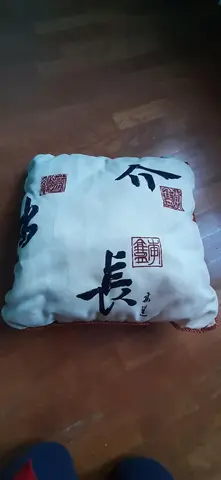 Coussins motif chinois