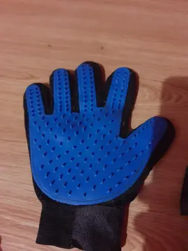 brosse chien ou chat