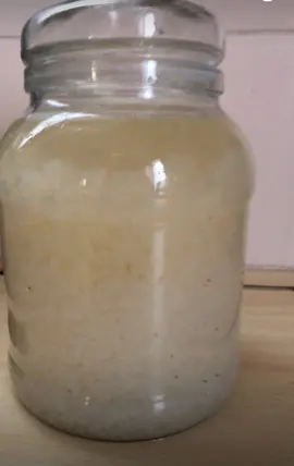 graines de kefir de fruits