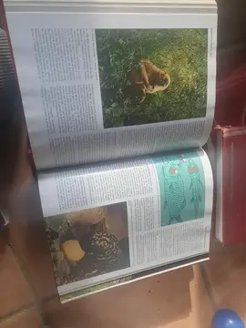 lot de 6 livres animaux