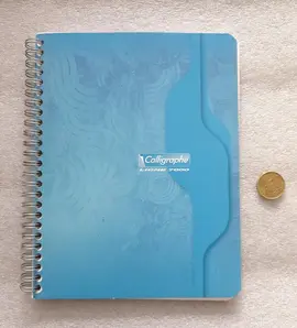 cahier petits carreaux