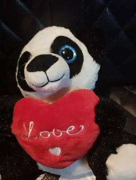 Peluche " ty " Y love you panda
