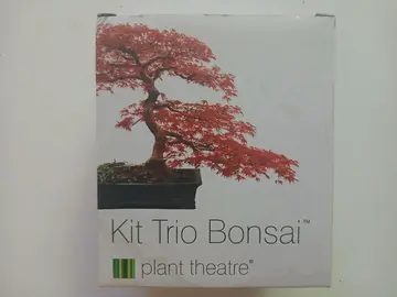 Graines de 3 essences d'arbre.