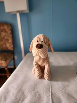 peluche velours chien