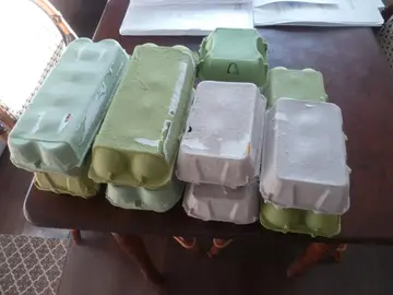 Lot de boites en carton pour oeufs