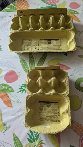 100 alvéoles à oeufs