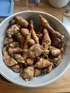 topinambour à planter