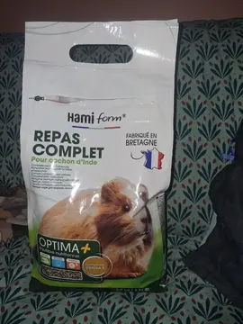 repas complet cochon d'inde