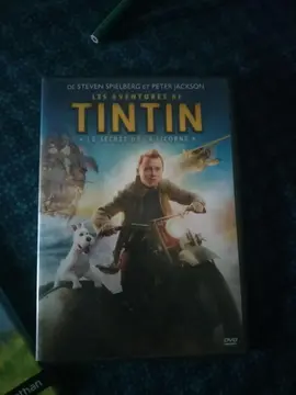 DVD tintin