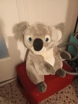 grosse peluche koala