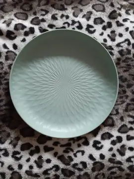 1 grande assiette / soucoupe en plastique