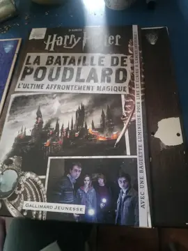 Lot livres Harry Potter