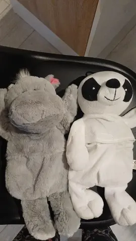 lot de 2 bouillotte peluches