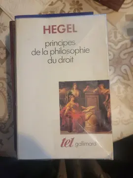 LIVRE HEGEL principes de la philosophie du droit