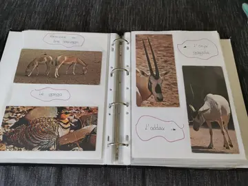 Cartes Merveilles du Monde chocolat Nestlé.