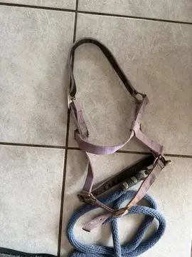 licol et longe cheval