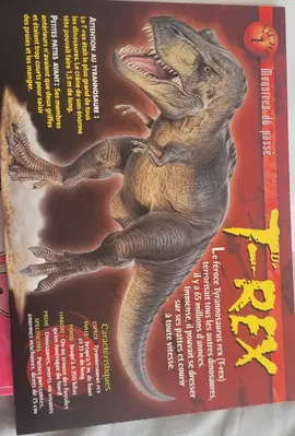 fiches dinosaures